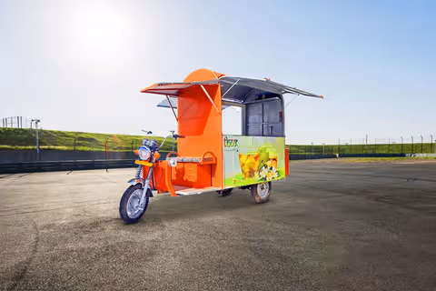Gayatri Electric Dabang E-Food Cart