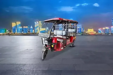 Electeca Eco