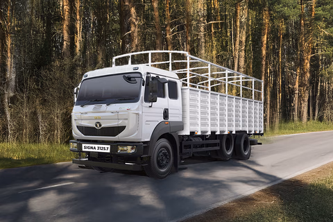 Tata Signa 3125.T