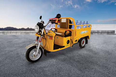 GreenRick E-Cart thumbnail