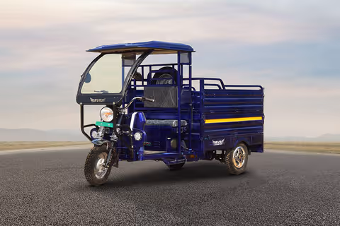 Bhave Electric E-Cart Champion thumbnail