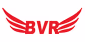 Bhave logo