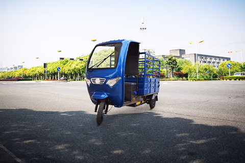 Eko Tejas RUGD-153 Electric/Cargo thumbnail