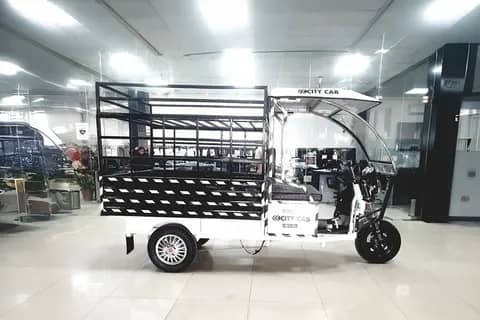 City Cab Loader Electric/Cargo truck