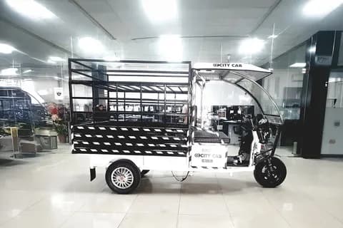 City Cab Loader Electric/Cargo