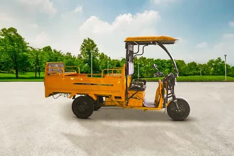 Terra Motors Pace-E Cargo Electric/Cargo